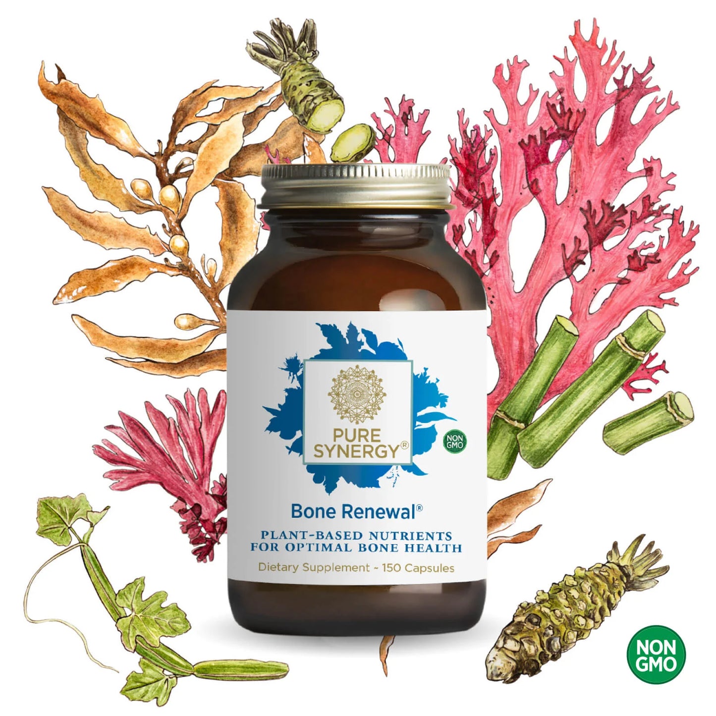 Pure Synergy Bone Renewal