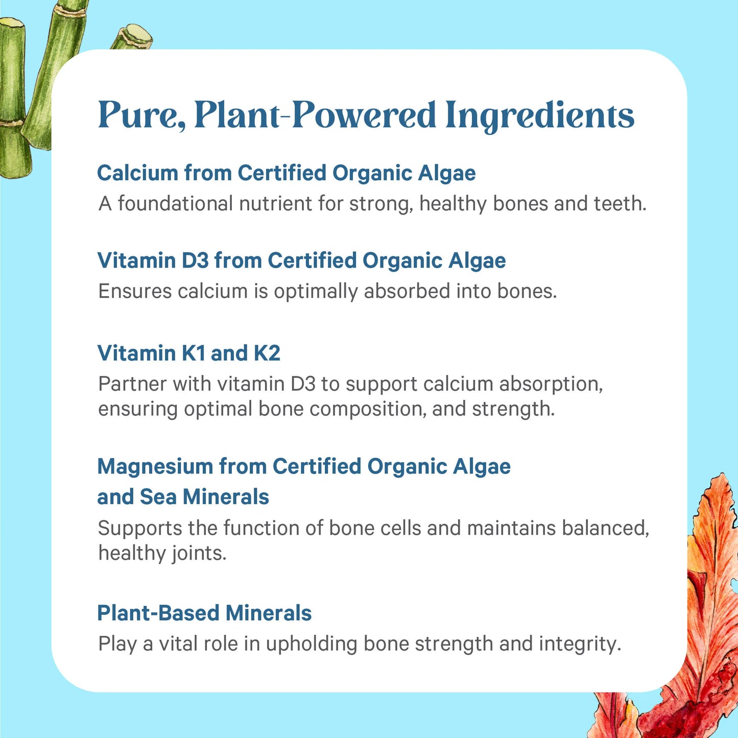 Pure Synergy Bone Renewal