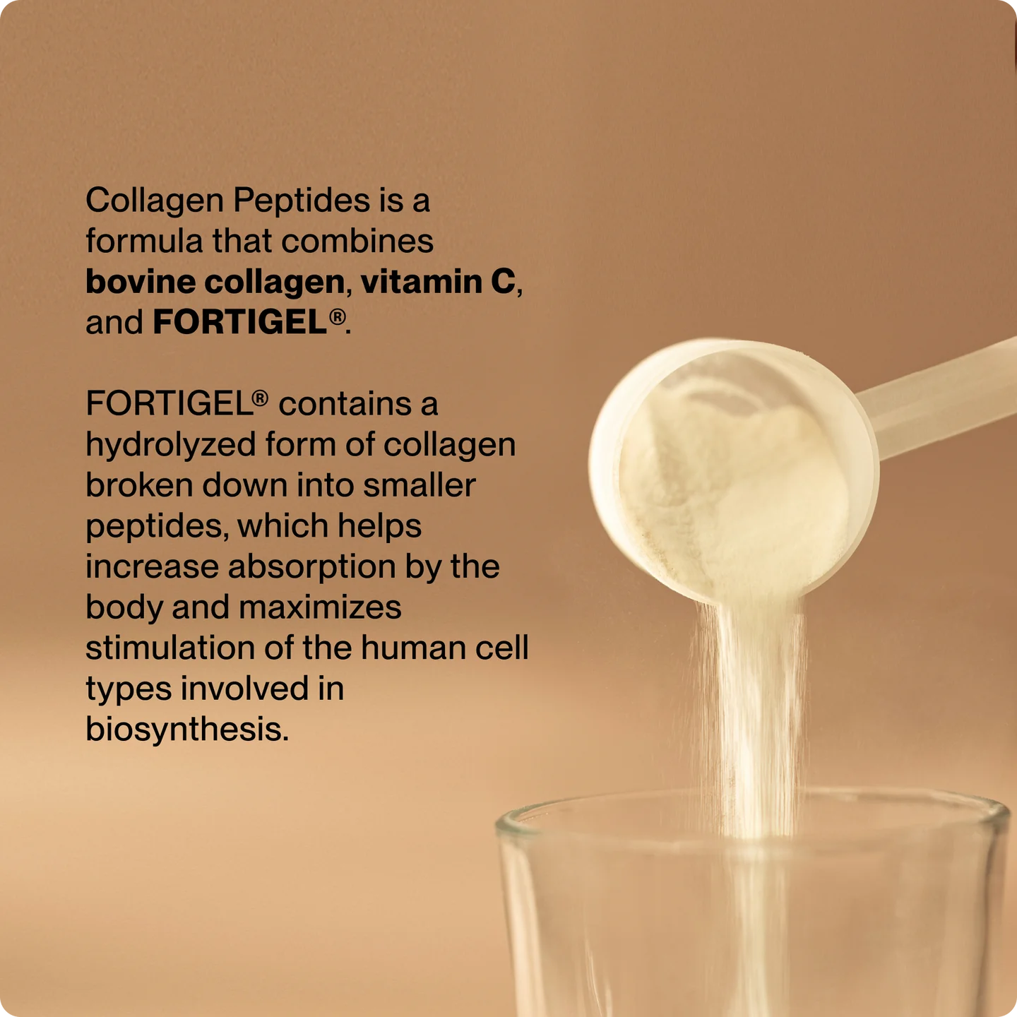 Momentous Collagen Peptides